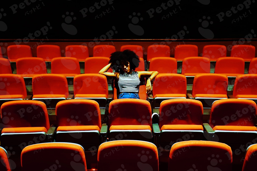 映画館の座席