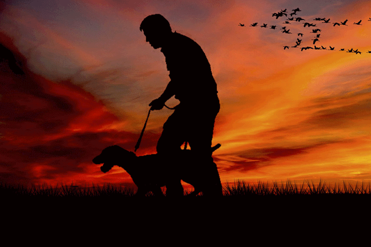 犬と散歩をする男性