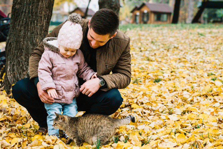 猫と秋を楽しむ方法
