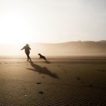 犬と浜辺
