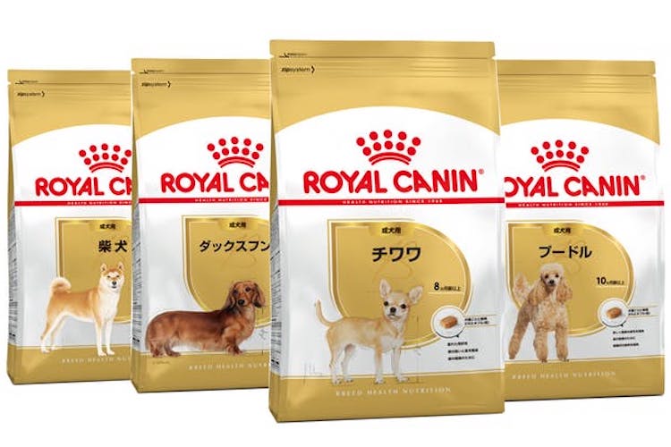 ロイヤルカナン柴犬成犬用8kg×2袋+spbgp44.ru